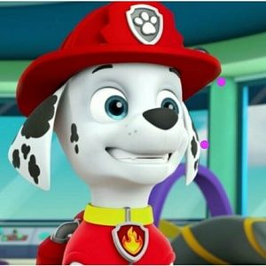 Meet your Posher, Pete